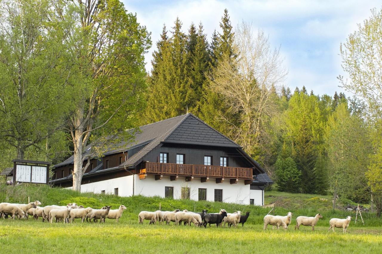Hotel Dvur Liskovy Vrch Strazny Exterior foto