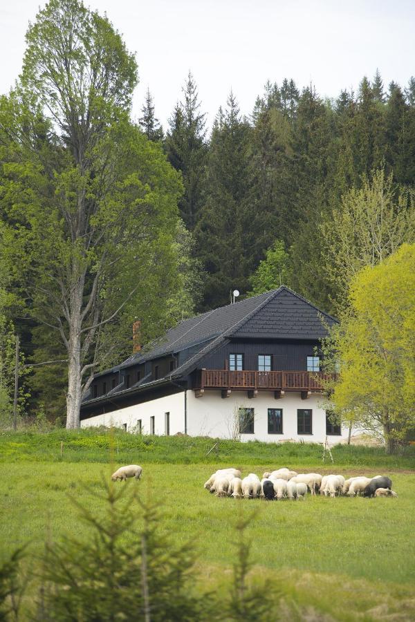 Hotel Dvur Liskovy Vrch Strazny Exterior foto